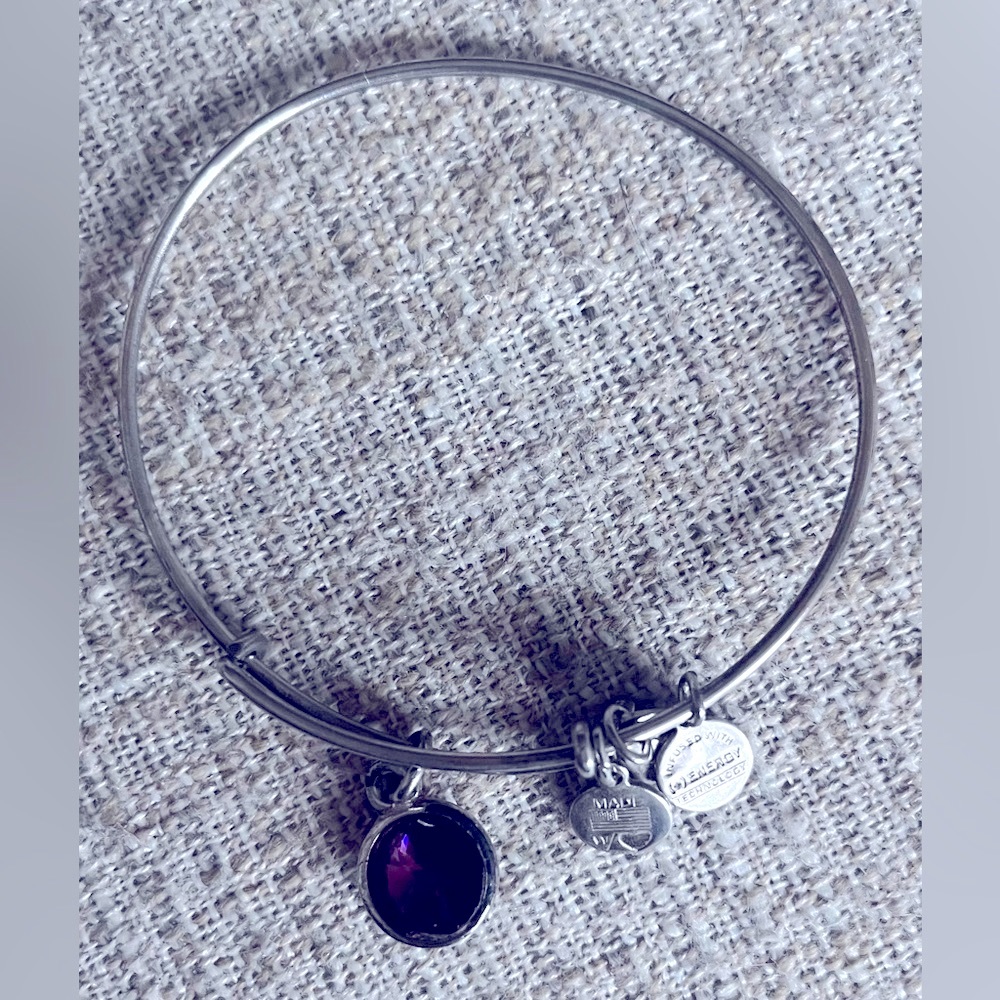 Alex & Ani Purple Amethyst Charm Bangle Bracelet